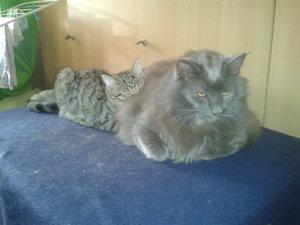 2014-09-13 15.53.20.jpg