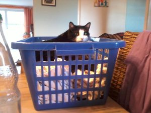 2014-02-11 16.00.23.jpg