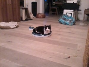 2014-04-06 06.59.11.jpg