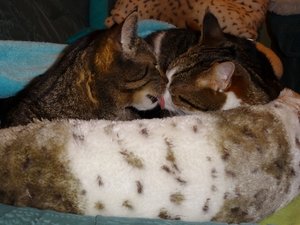 DSC04617 (640x480).jpg