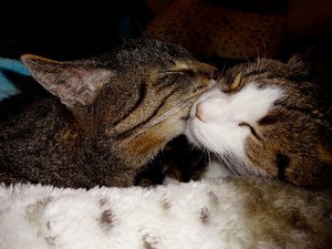 DSC04622 (640x480).jpg