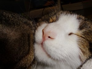 DSC04637 (640x480).jpg