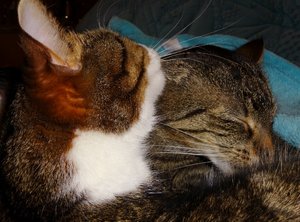 DSC04638 (640x472).jpg