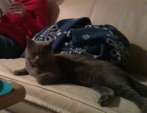 2014-11-07 08.27.52.jpg