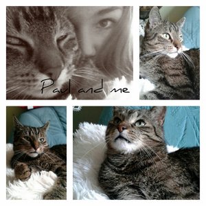 collage_20141218215101893 (640x640).jpg