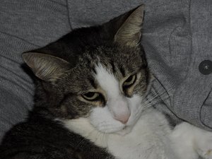 2014-12-23 09.28.06.jpg