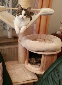 Vicky und Lusy Dez. 14.jpg