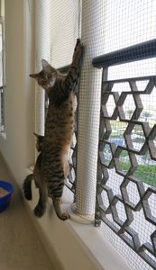 IMG_4248 - Kopie.jpg