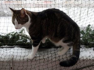 DSC05055 (640x480).jpg