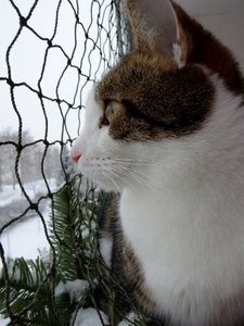 DSC05059 (480x640).jpg