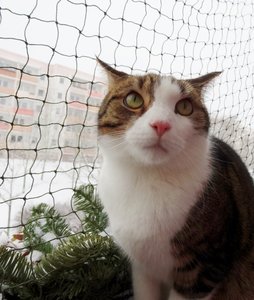 DSC05060 (541x640).jpg