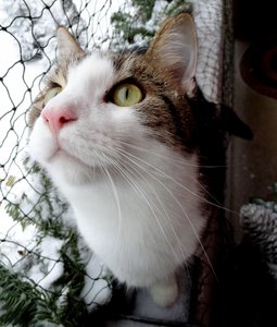 DSC05065 (544x640).jpg