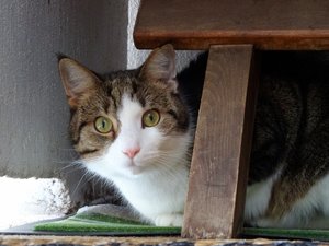 DSC05080 (640x479).jpg