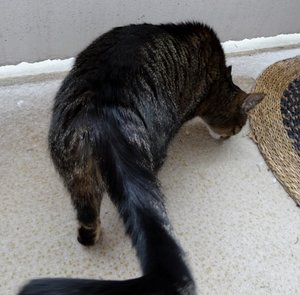 DSC05082 (640x629).jpg