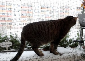 DSC05084 (640x460).jpg