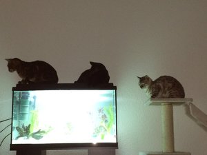 IMG_3500.JPG IMG_3500.JPG