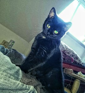 2015-01-04 15.42.17-3.jpg