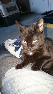 2015-01-04 15.38.14 (1).jpg