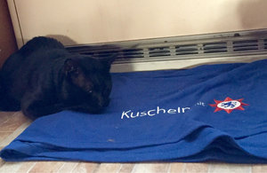 ImageUploadedByTapatalk1420662225.279151.jpg ImageUploadedByTapatalk1420662225.279151.jpg