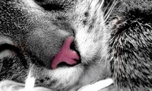 2015-01-09 20.08.16 (640x384).jpg