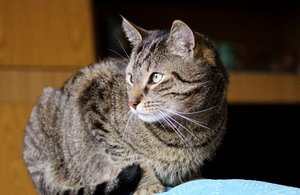 IMG_5738 (640x414).jpg