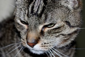 IMG_5555 (640x427).jpg