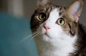 IMG_5624 (640x416).jpg