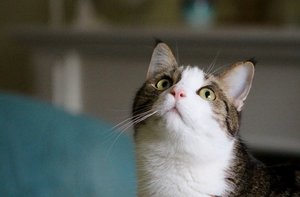 IMG_5632 (640x419).jpg