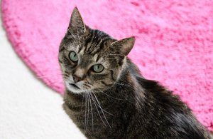 IMG_5686 (640x416).jpg