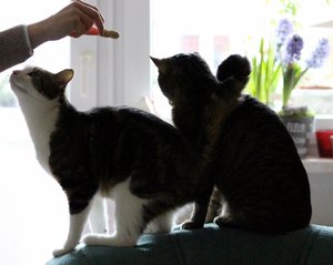 IMG_5726 (640x508).jpg