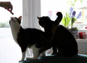 IMG_5728 (640x465).jpg