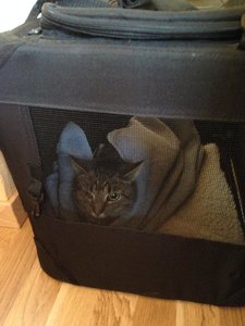 IMG_4424.jpg IMG_4424.jpg