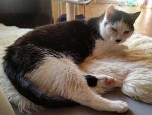 2015-01-24 14.26.58.jpg