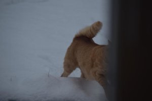 2015_01_24 DSC_0015.JPG