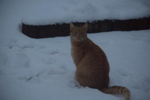 2015_01_24 DSC_0020.JPG