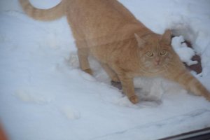 2015_01_24 DSC_0028.JPG