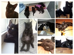 meine_Collage (2).jpg