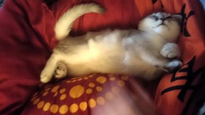 2015-01-26 10.06.59.jpg