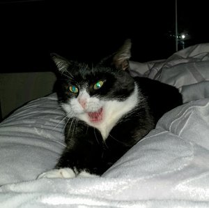 2015-01-27 16.41.35.jpg