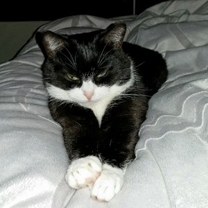 2015-01-26 11.09.55.jpg