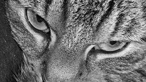 2014-12-28 21.18.28.jpg