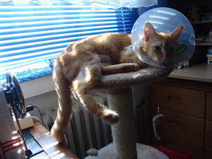 DSC08542 - Kopie.JPG