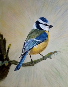 DSCN0744 - Kopie bea f. Inet.jpg