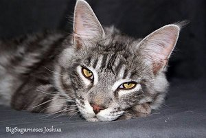 DSC07959 - Kopie.JPG