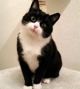 2014-12-09 05.37.36.jpg