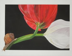 DSCN1867 - Kopie  bea f. Inet.JPG