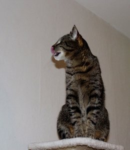 IMG_5951 (553x640).jpg