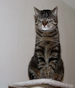 IMG_5953 (543x640).jpg