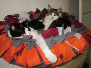 butziebettchen 002.JPG