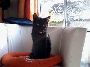 2014-03-31 17.30.09.jpg